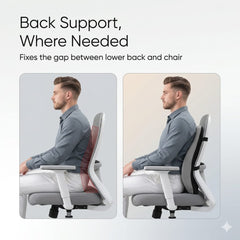 Xenric Lumbar Support Cushion – Back Pain Relief