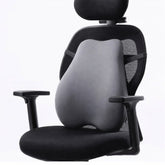 Xenric Lumbar Support Cushion – Back Pain Relief